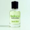 Secret Wind men perfume